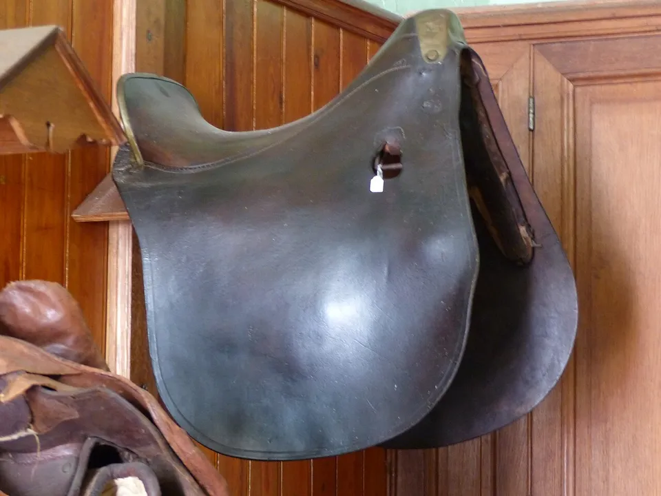 Dunkelbrauner Dressursattel an der Wand einer Sattelkammer – Kieffer Sattel gebraucht