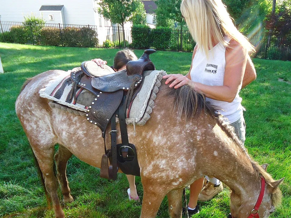 Hand korrigiert den Sitz des Sattels auf einem Pony – Sattel rutscht